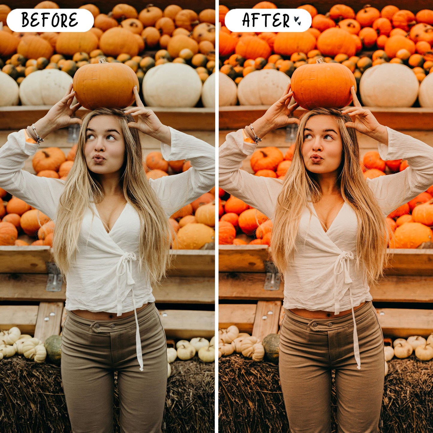 10 Harvest LIGHTROOM Presets Mobile & Desktop