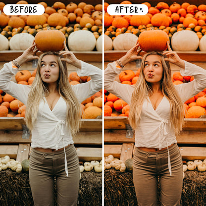 10 Harvest LIGHTROOM Presets Mobile & Desktop