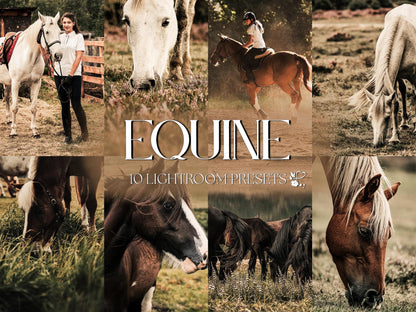 10 Equine LIGHTROOM Presets Mobile & Desktop