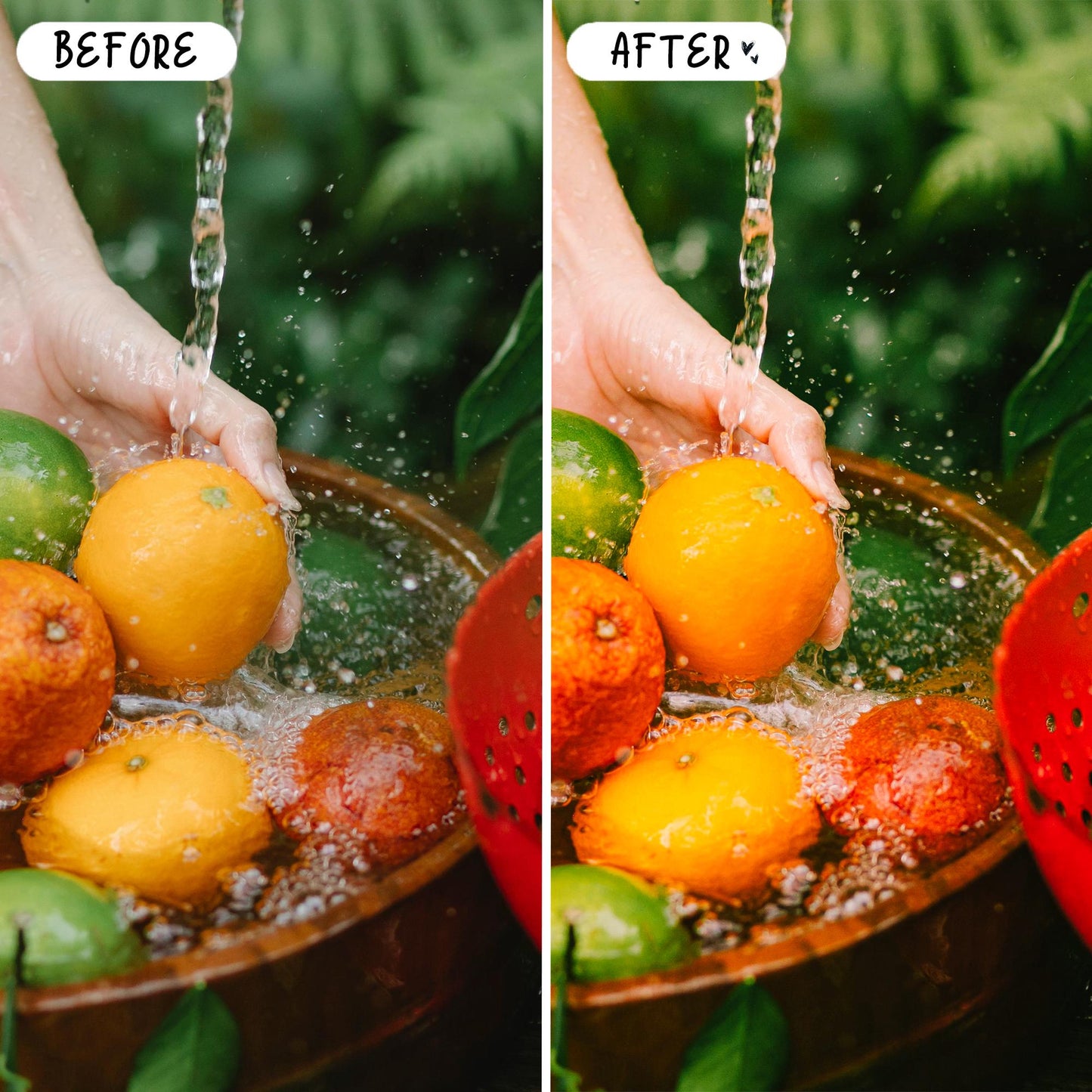 10 Papaya LIGHTROOM Presets Mobile & Desktop