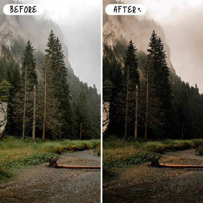 10 Wander LIGHTROOM Presets Mobile & Desktop