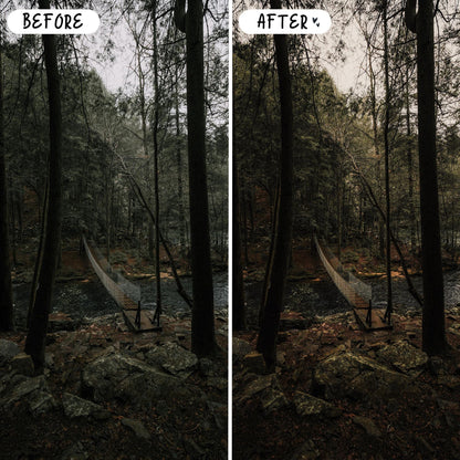 10 Wander LIGHTROOM Presets Mobile & Desktop