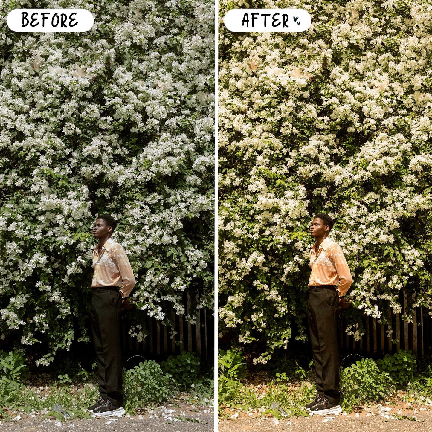 10 Picnic LIGHTROOM Presets Mobile & Desktop