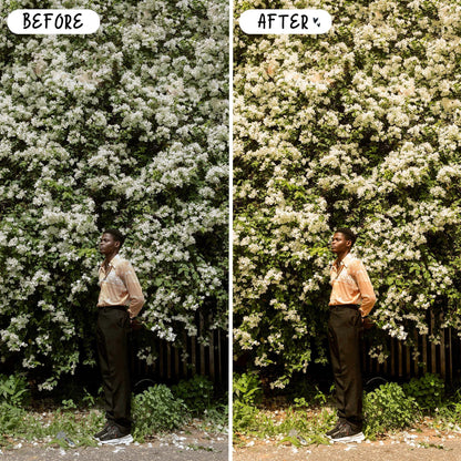 10 Picnic LIGHTROOM Presets Mobile & Desktop