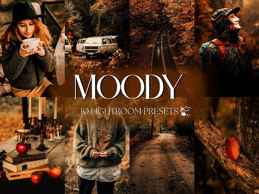 10 Moody Fall LIGHTROOM Presets Mobile & Desktop