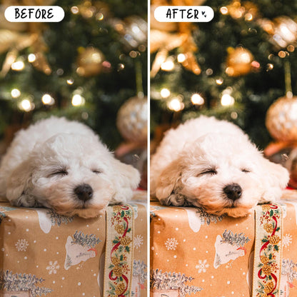 10 Festive LIGHTROOM Presets Mobile & Desktop