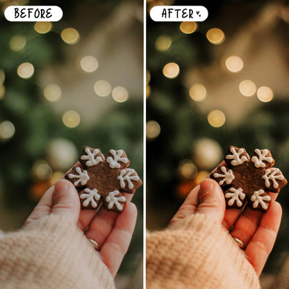 10 Gingerbread LIGHTROOM Presets Mobile & Desktop