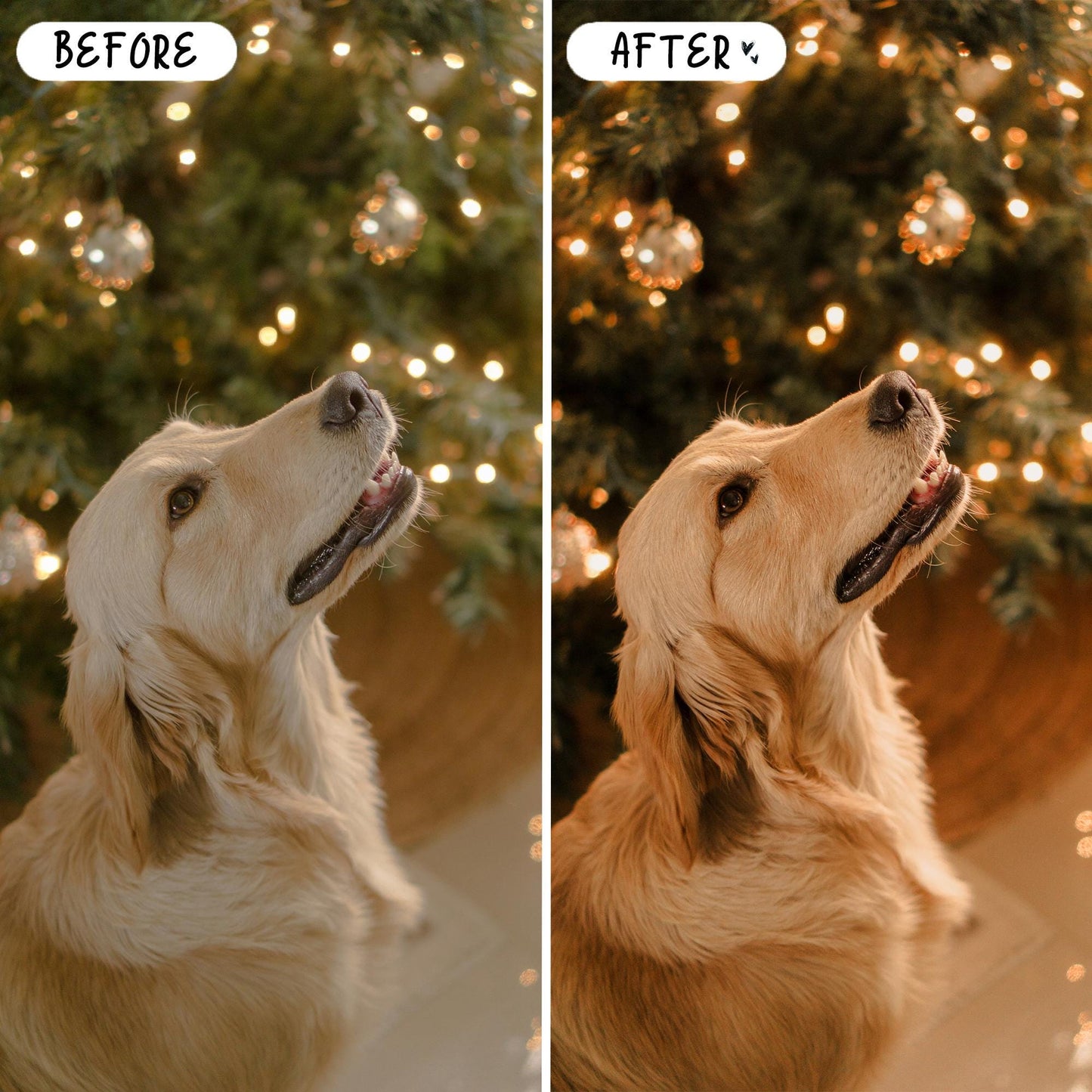10 Gingerbread LIGHTROOM Presets Mobile & Desktop