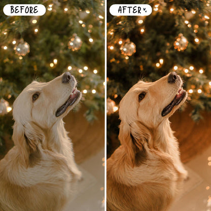 10 Gingerbread LIGHTROOM Presets Mobile & Desktop