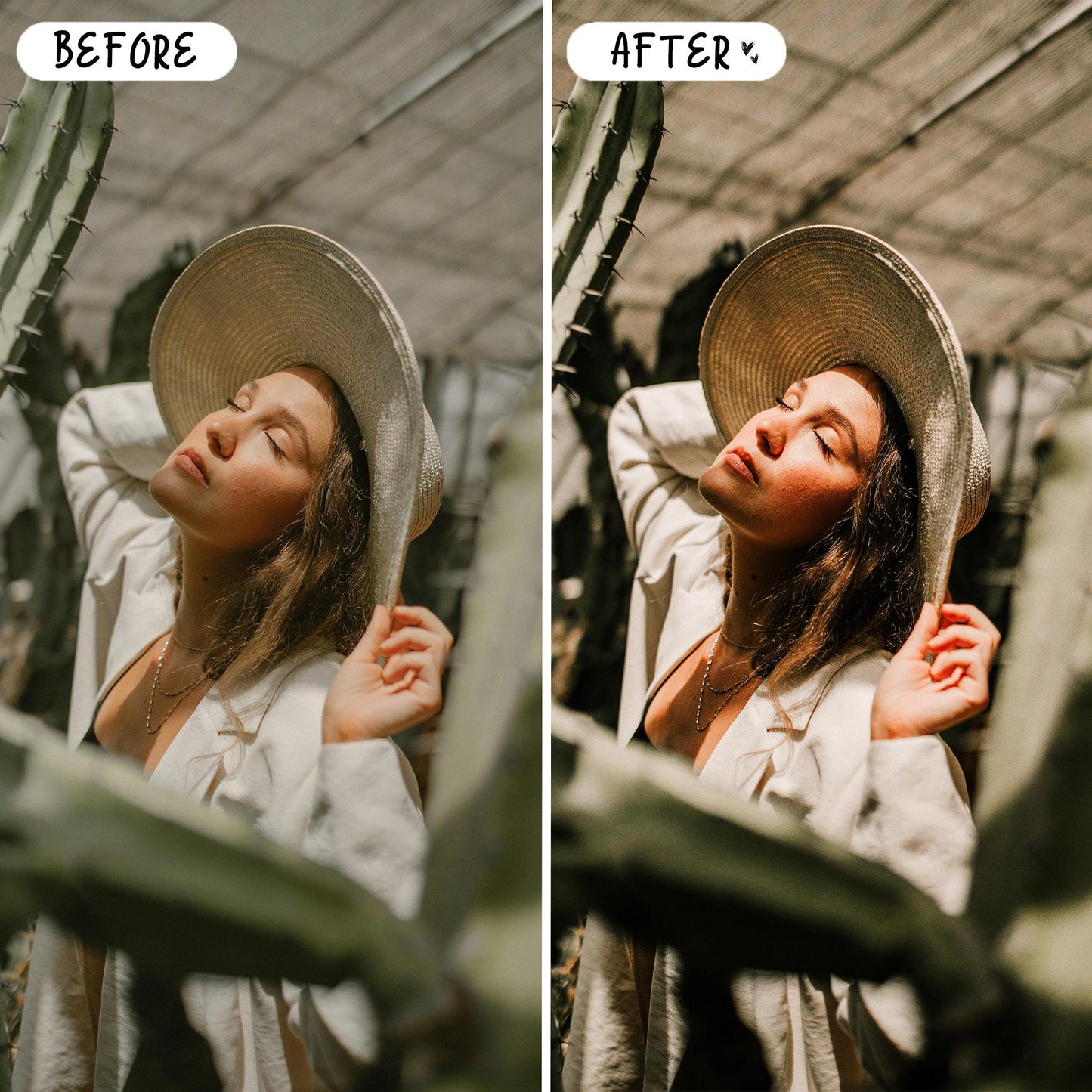 10 Avocado LIGHTROOM Presets Mobile & Desktop