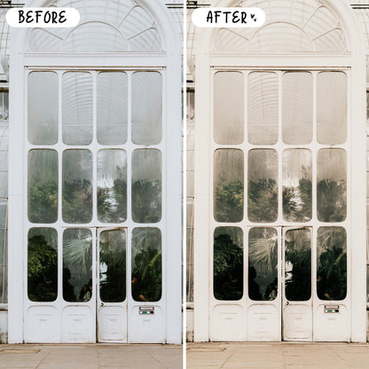 10 Light LIGHTROOM Presets Mobile & Desktop