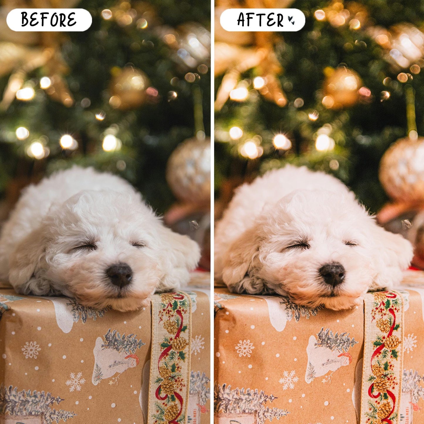10 Xmas LIGHTROOM Presets Mobile & Desktop