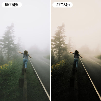 10 Wander LIGHTROOM Presets Mobile & Desktop