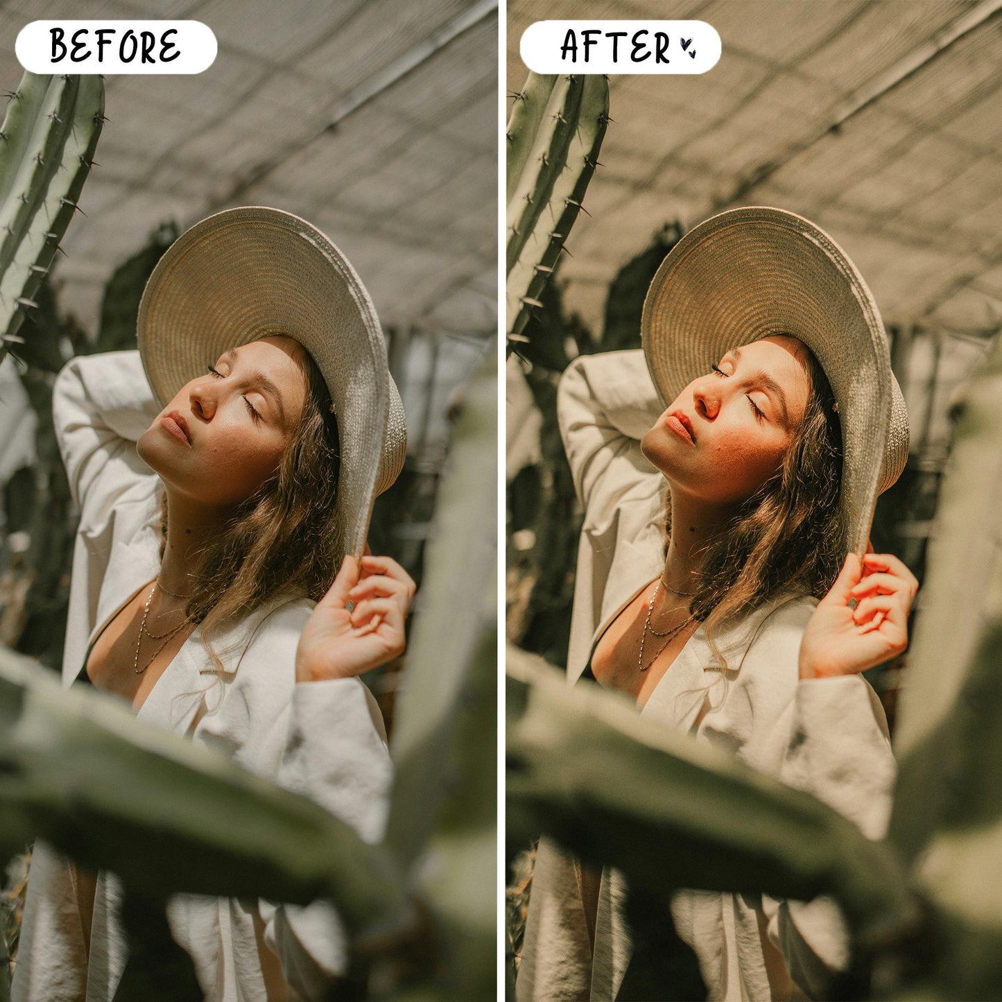 10 Sage LIGHTROOM Presets Mobile & Desktop