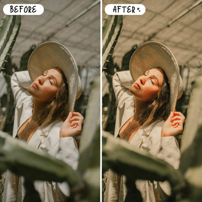 10 Sage LIGHTROOM Presets Mobile & Desktop