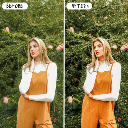 10 Sage LIGHTROOM Presets Mobile & Desktop