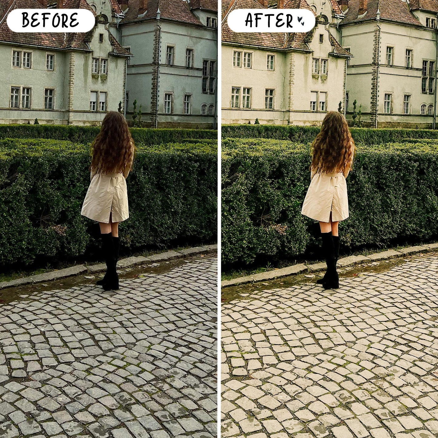 10 Sage LIGHTROOM Presets Mobile & Desktop