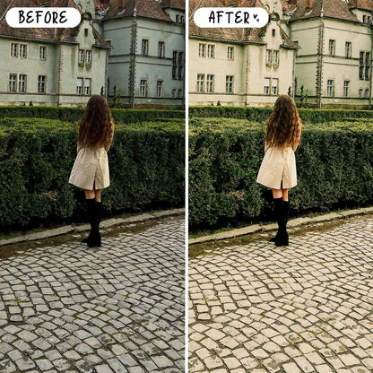 10 Sage LIGHTROOM Presets Mobile & Desktop