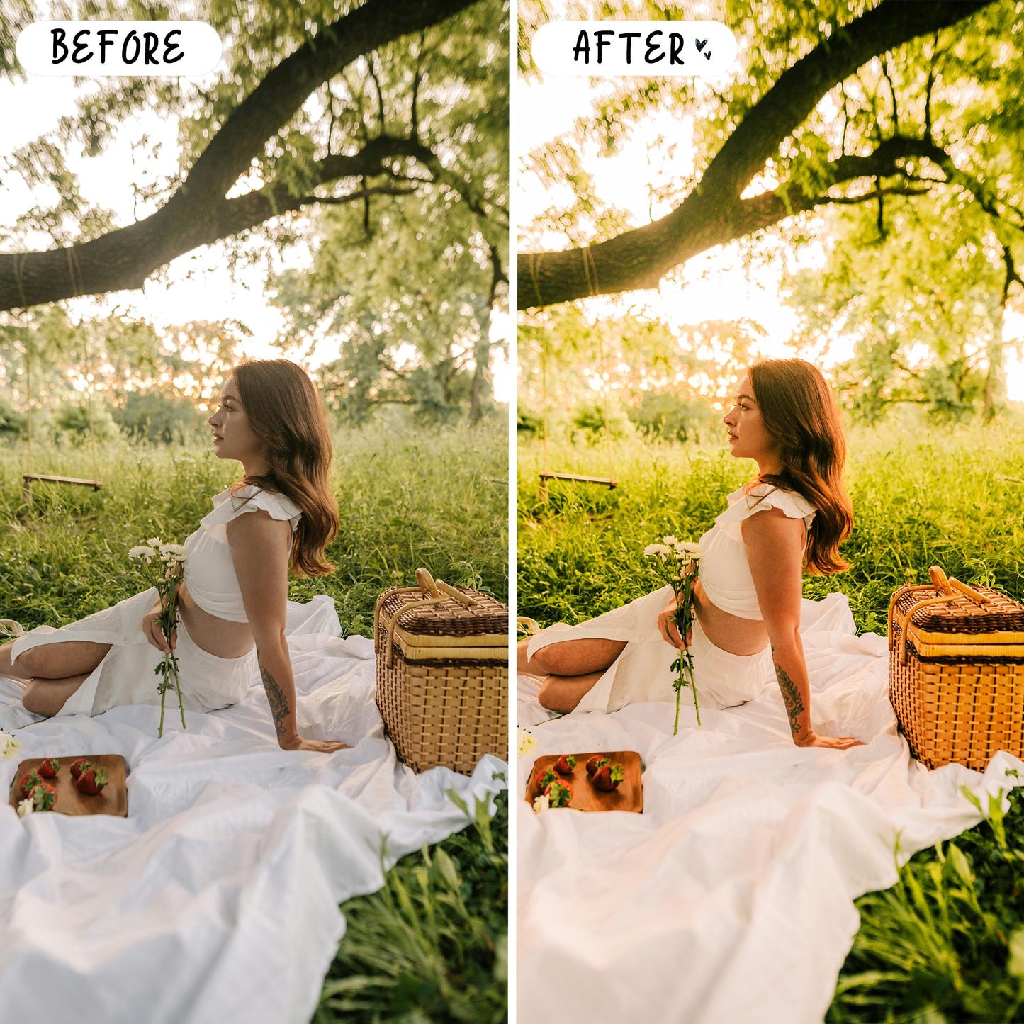 10 Picnic LIGHTROOM Presets Mobile & Desktop