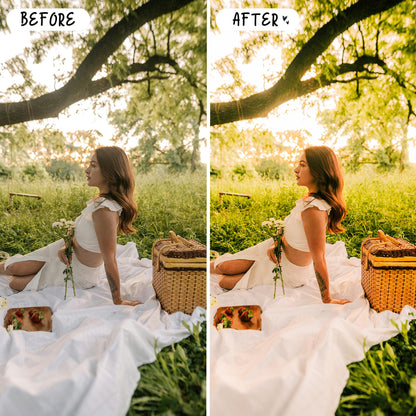 10 Picnic LIGHTROOM Presets Mobile & Desktop
