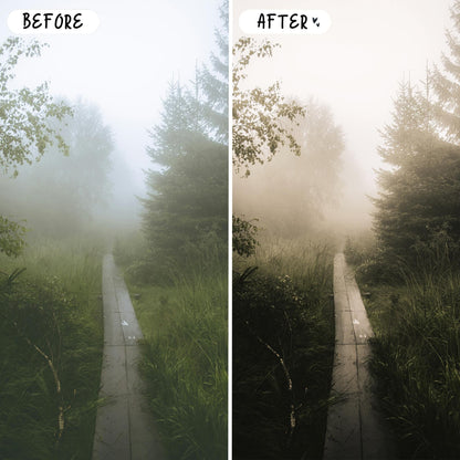 10 Rich Moody LIGHTROOM Presets Mobile & Desktop