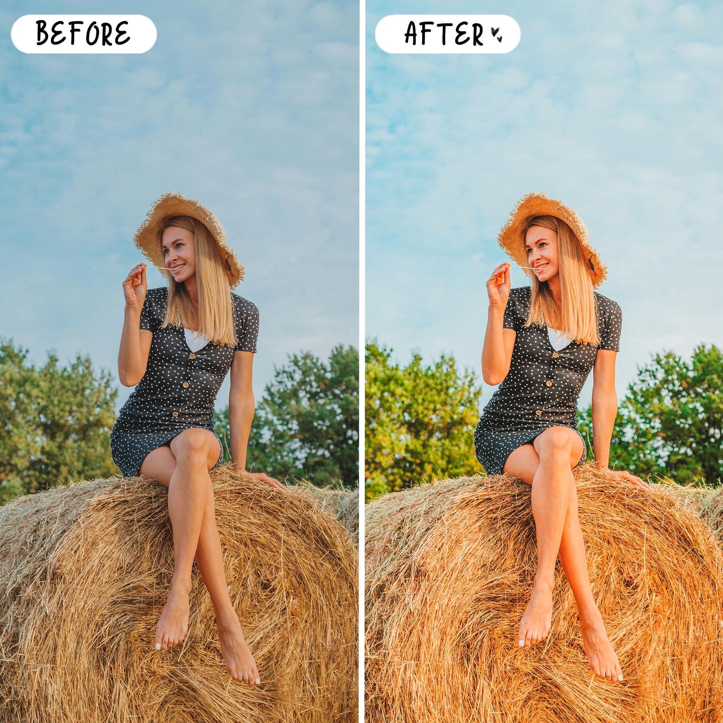 10 Blogger LIGHTROOM Presets Mobile & Desktop