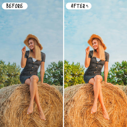 10 Blogger LIGHTROOM Presets Mobile & Desktop