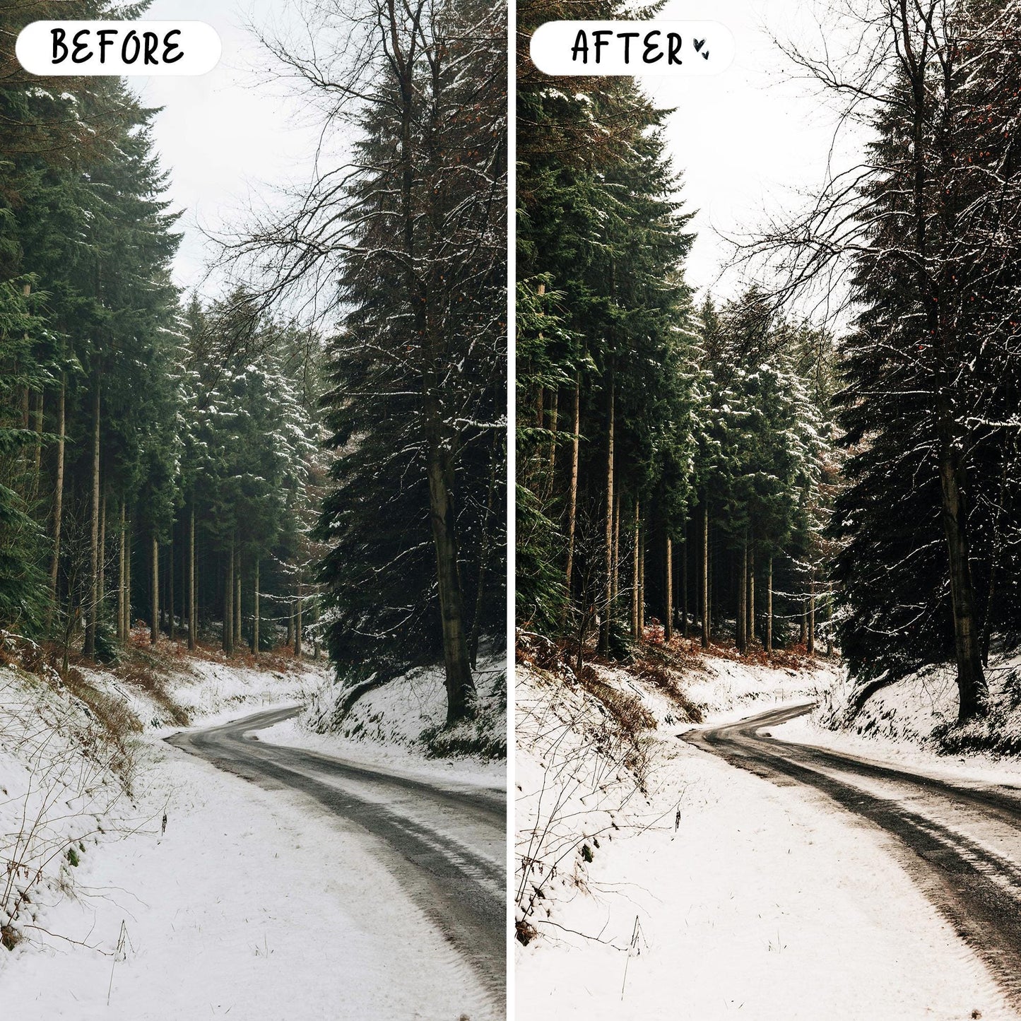 10 Cinnamon LIGHTROOM Presets Mobile & Desktop