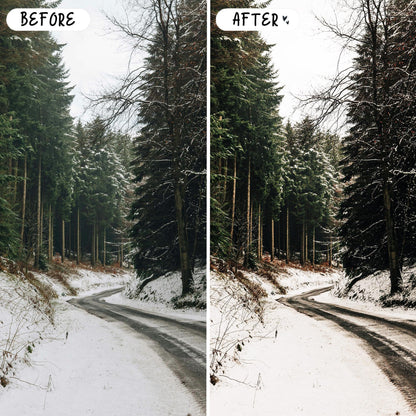 10 Cinnamon LIGHTROOM Presets Mobile & Desktop