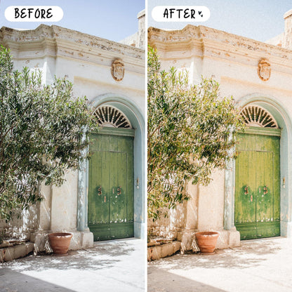 10 Analog LIGHTROOM Presets Mobile & Desktop