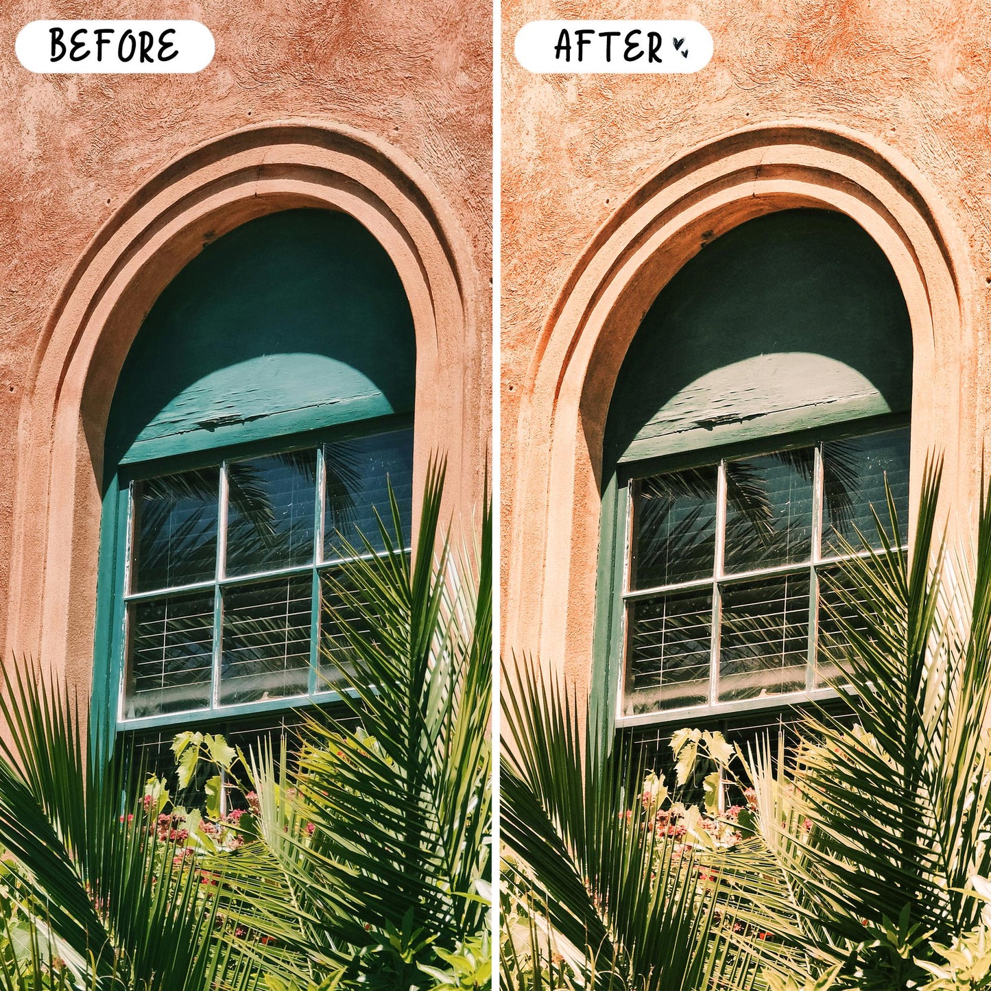 10 Rose LIGHTROOM Presets Mobile & Desktop