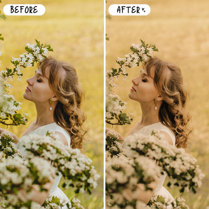 10 Natural LIGHTROOM Presets Mobile & Desktop
