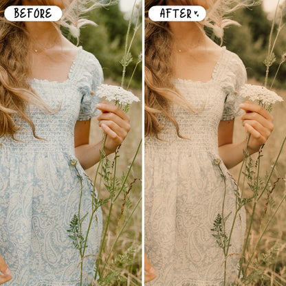 10 Natural LIGHTROOM Presets Mobile & Desktop
