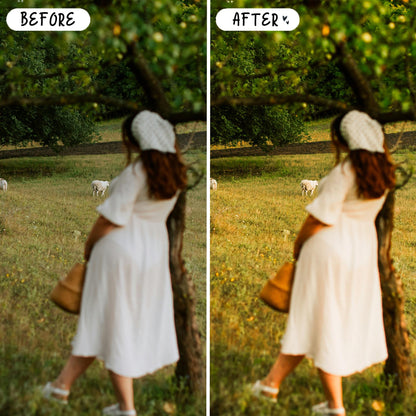 10 Picnic LIGHTROOM Presets Mobile & Desktop