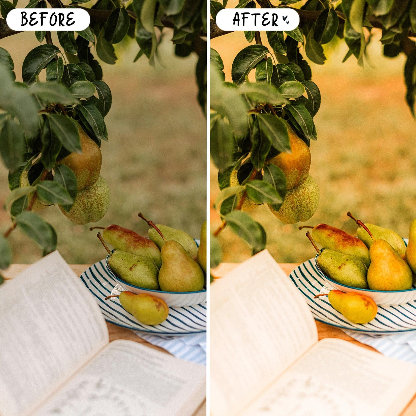 10 Picnic LIGHTROOM Presets Mobile & Desktop