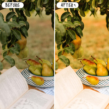 10 Picnic LIGHTROOM Presets Mobile & Desktop
