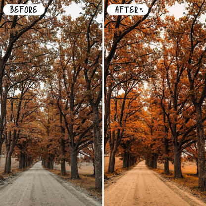 10 October LIGHTROOM Presets Mobile & Desktop