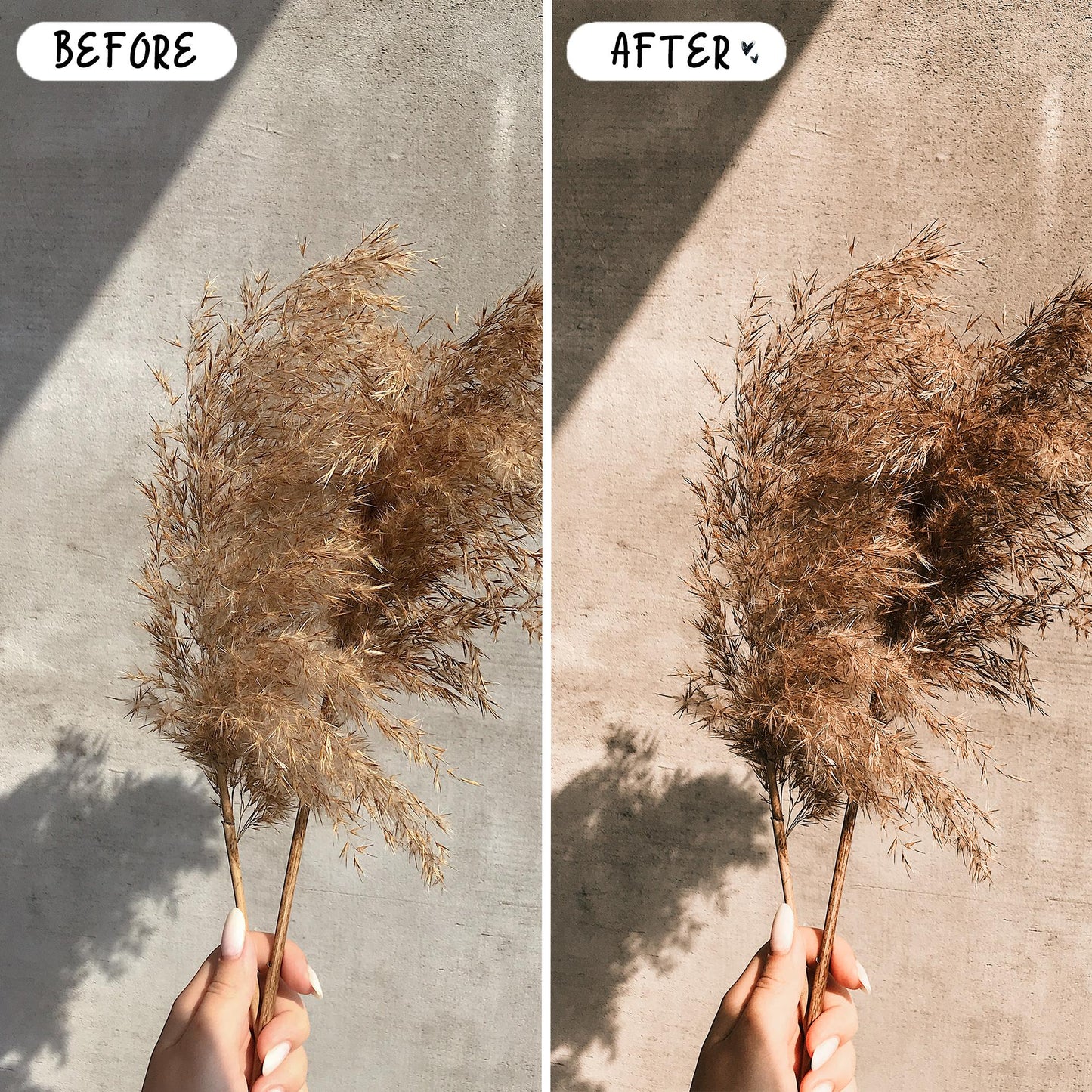 10 Nude Tones LIGHTROOM Presets Mobile & Desktop