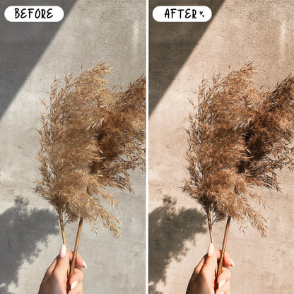 10 Nude Tones LIGHTROOM Presets Mobile & Desktop