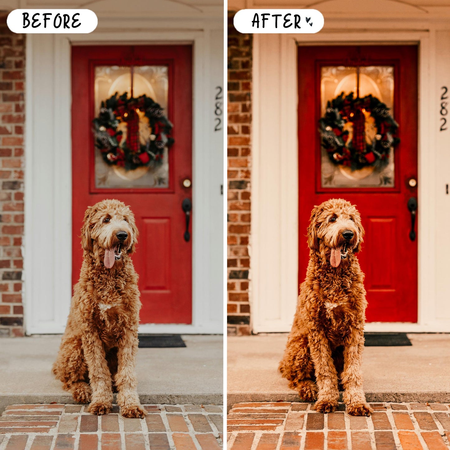 10 Festive LIGHTROOM Presets Mobile & Desktop