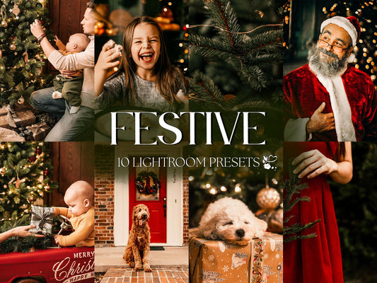 10 Festive LIGHTROOM Presets Mobile & Desktop