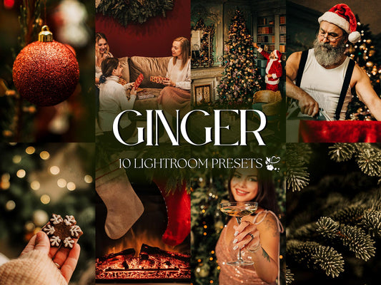 10 Gingerbread LIGHTROOM Presets Mobile & Desktop
