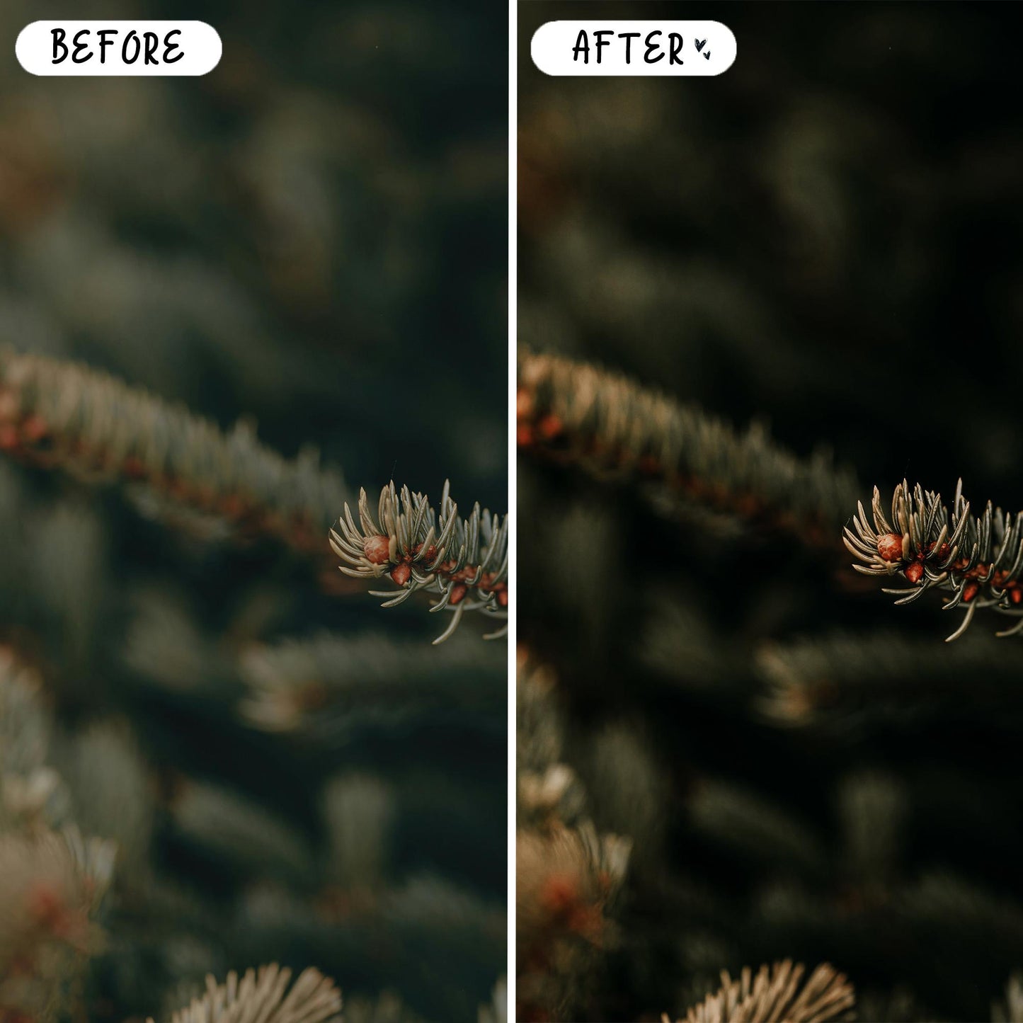 10 Avocado LIGHTROOM Presets Mobile & Desktop