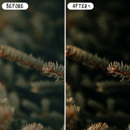 10 Avocado LIGHTROOM Presets Mobile & Desktop