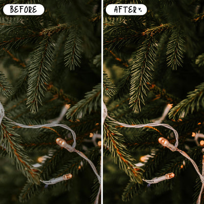 10 Xmas LIGHTROOM Presets Mobile & Desktop