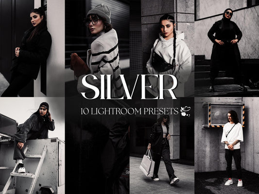 10 Silver LIGHTROOM Presets Mobile & Desktop