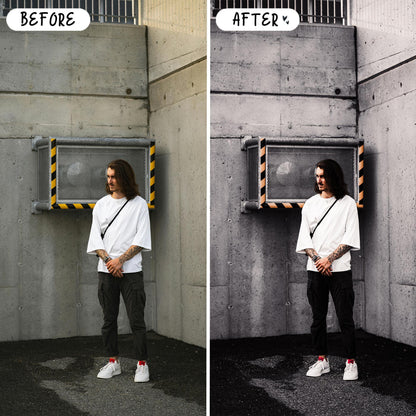 10 Silver LIGHTROOM Presets Mobile & Desktop