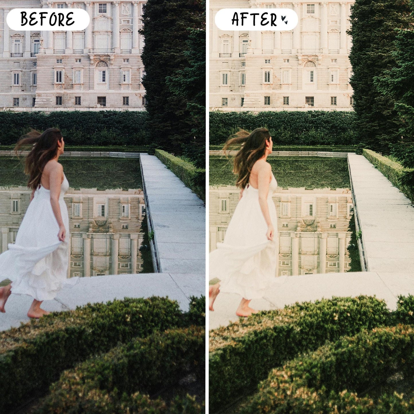 10 Sage LIGHTROOM Presets Mobile & Desktop