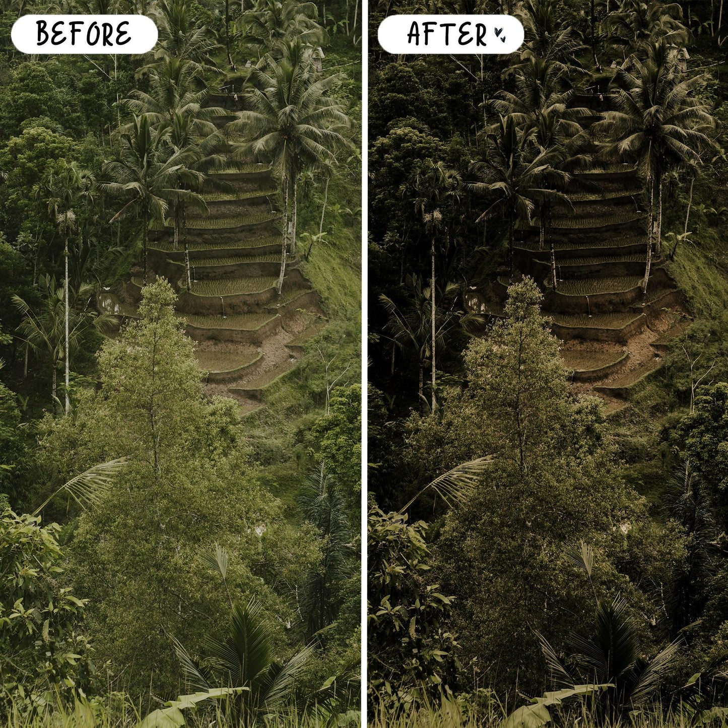 10 Indonesia LIGHTROOM Presets Mobile & Desktop