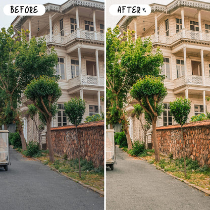 10 Vintage LIGHTROOM Presets Mobile & Desktop